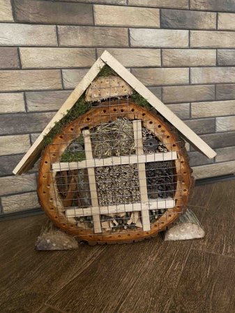 Перемога, що надихає: юні екологи – серед найкращих у області!