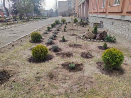 Озеленення території ліцею