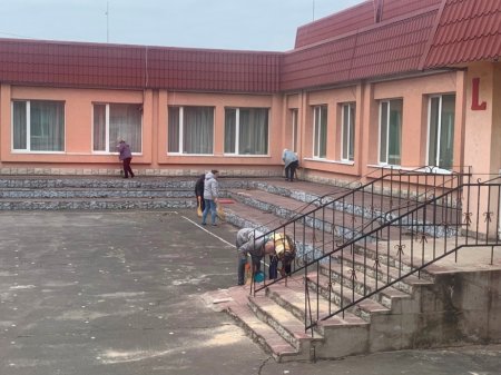 Весняна толока у ліцеї