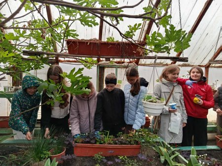 Теплиця ліцею — простір досліджень і натхнення