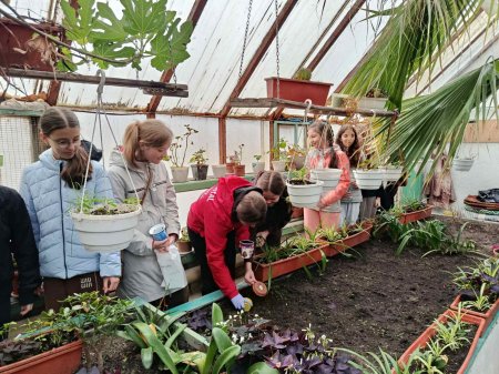 Теплиця ліцею — простір досліджень і натхнення