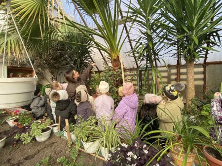 Теплиця ліцею — простір досліджень і натхнення