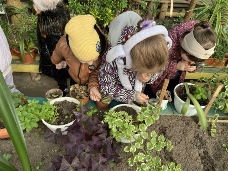 Теплиця ліцею — простір досліджень і натхнення
