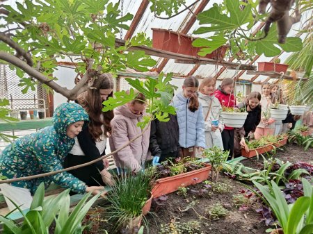 Теплиця ліцею — простір досліджень і натхнення